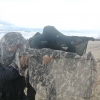 Force Recon Course 2015_098